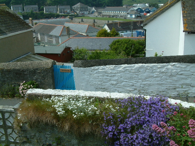 Salt Cellar Hill, Porthleven. 30 May 2003.